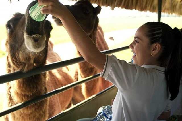 Una gran experiencia